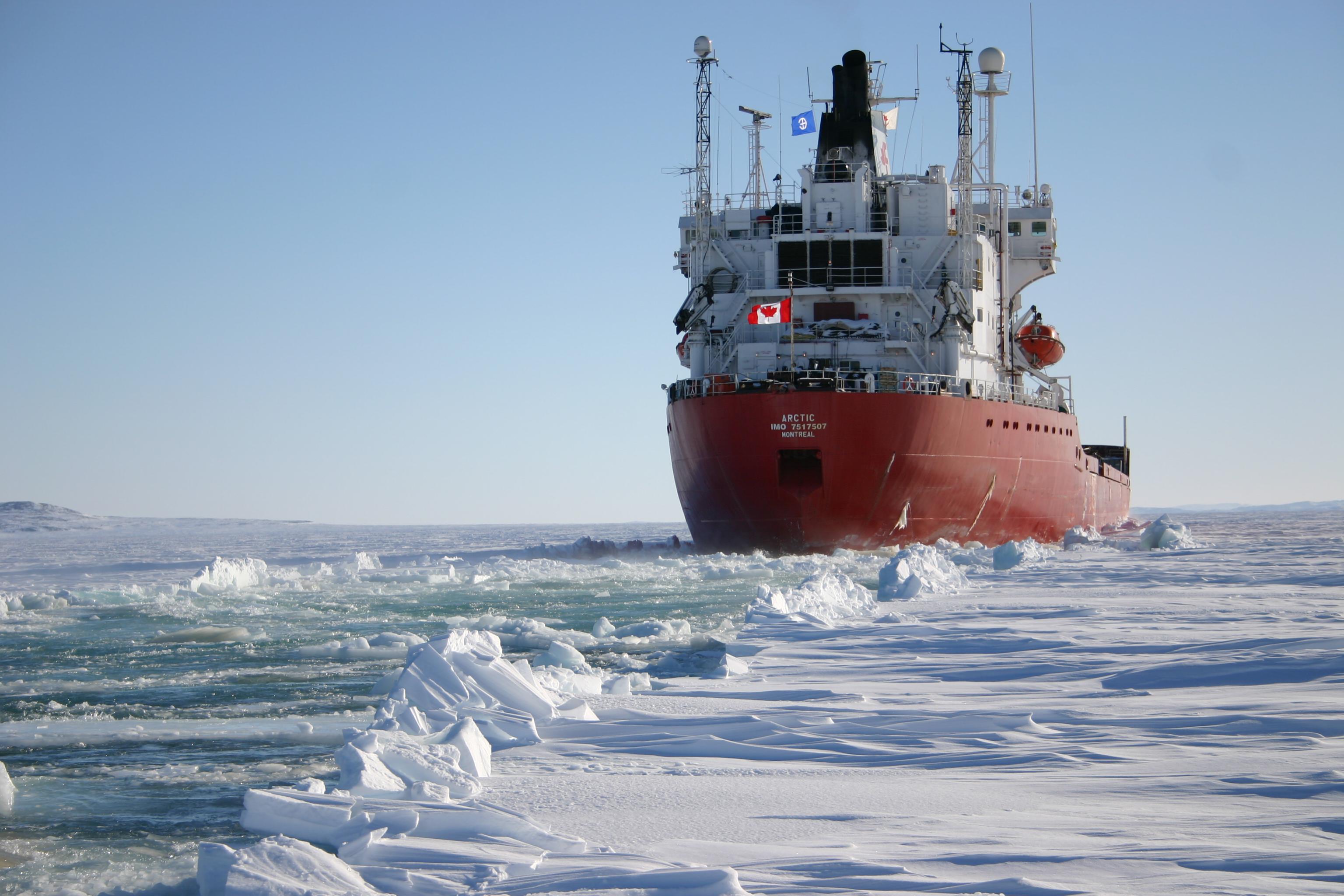 Photograph of mv Arctic Courtesy of Fednav